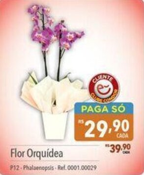 Supermercados Condor Flor Orquidea P12 oferta