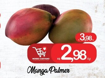 Manga Palmer 1kg