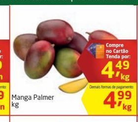 Tenda Atacado Manga palmer kg oferta