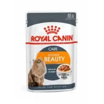 Petz Ração úmida royal canin intense beauty para gatos adultos 85g oferta