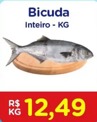 Nagumo Bicuda inteiro 1kg oferta