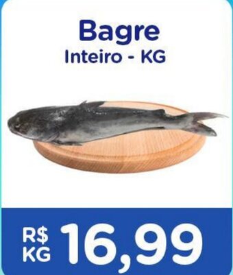 Nagumo Bagre inteiro 1kg oferta