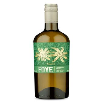 Mambo Vinho chileno sauvignon blanc foye 750ml oferta