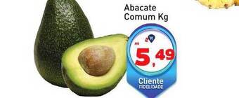 Tonin Superatacado Abacate comum kg oferta