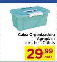 Carrefour Caixa organizadora agraplast sortida 20 litros oferta