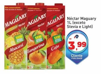 Tonin Superatacado Néctar maguary 1l oferta