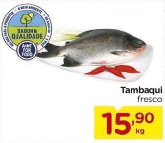 Carrefour Tambaqui 1kg oferta