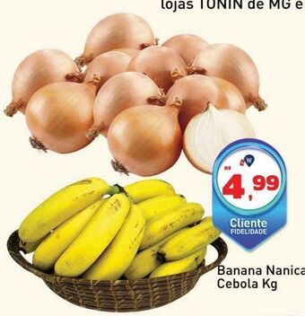 Banana nanica