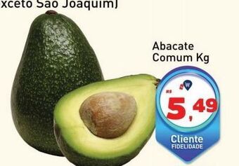 Tonin Superatacado Abacate comum kg oferta
