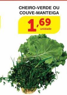 Cheiro verde ou couve manteiga