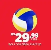 Bola voleibol