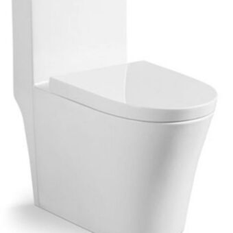 Leroy Merlin Vaso sanitário monobloco completo - caixa acoplada privada acies tubrax oferta