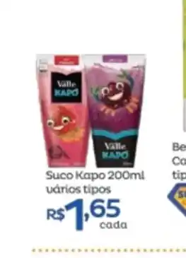 Suco Kapo 200ml varios tipos