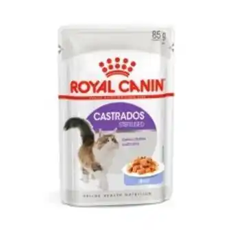 Petz Ração úmida royal canin jelly para gatos adultos castrados 85g oferta