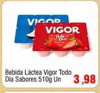 Bebida láctea vigor todo dia sabores