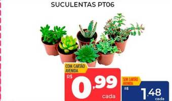 Suculentas