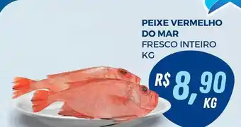 Supermercado Estrela Azul Peixe vermelho do mar fresco inteiro kg oferta