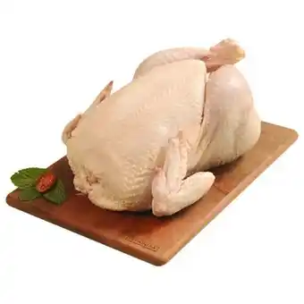 Frango inteiro resfriado