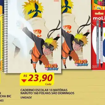 Caderno escolar 10 matérias