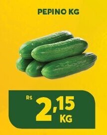 Atacadão Centro Sul Pepino 1kg oferta