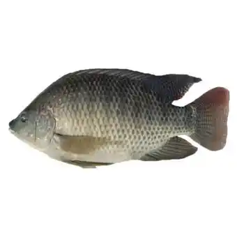 Supermercados Paraná Peixe tilápia inteira fresca oferta