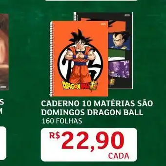 Caderno 10 matérias