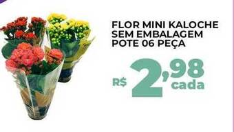 Cooper Flor mini kaloche sem embalagem pote 06 peça oferta