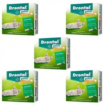Drontal gatos 0,5 a 2,5kg spoton 0,35ml bayer kit 5 pipetas