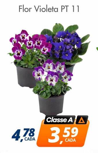 Delta Supermercados Flor violeta pt 11 oferta