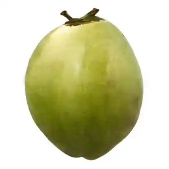 Coco verde unidade