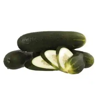 Pepino comum kg kg