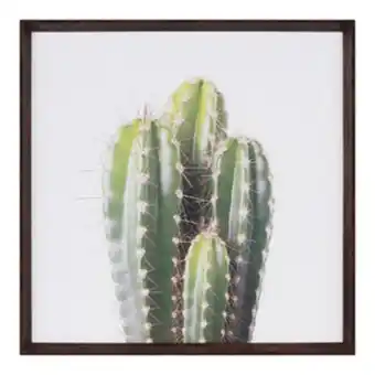 Leroy Merlin Quadro cactus i verde 60x60cm inspire oferta