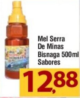 Mel Serra de Minas Bisnaga Sabores 500ml