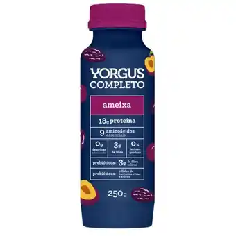 Mambo Iogurte completo sabor ameixa 18g de proteina yorgus 250g oferta