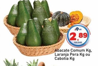 Tonin Superatacado Abacate comum kg oferta