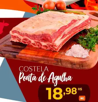 Costela ponte de agulha