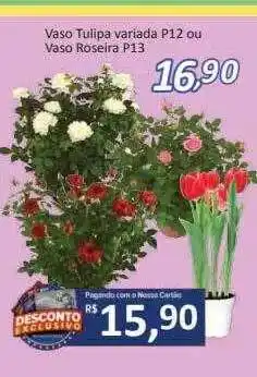Supermercados Savegnago Vaso tulipa variada p12 ou vaso roseira p13 oferta