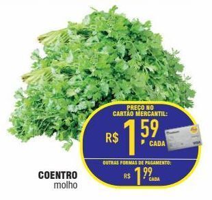 Coentro molho