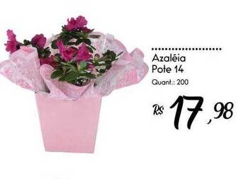 Giassi Supermercados Azaléia pote 14 oferta
