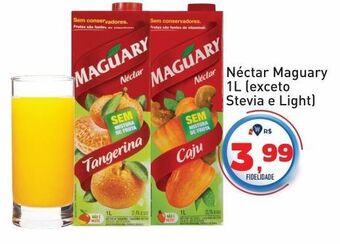 Tonin Superatacado Néctar maguary 1l oferta