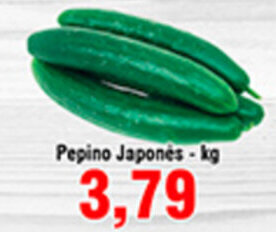 Shibata Supermercados Pepino Japones 1kg oferta