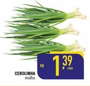 Mercantil Rodrigues Cebolinha molho oferta