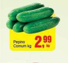 Negreiros Pepino comum kg oferta