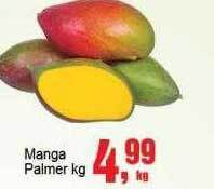 Negreiros Manga palmer kg oferta
