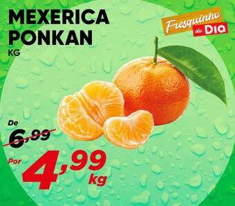 Dia Mexerica ponkan oferta