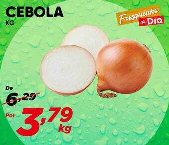 Dia Cebola oferta