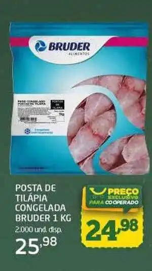 Cooper Posta de tilápia congelada bruder oferta