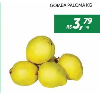 CenterBox Goiaba paloma oferta