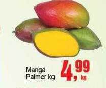 Negreiros Manga palmer kg oferta