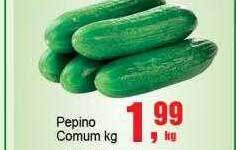 Negreiros Pepino comum kg oferta